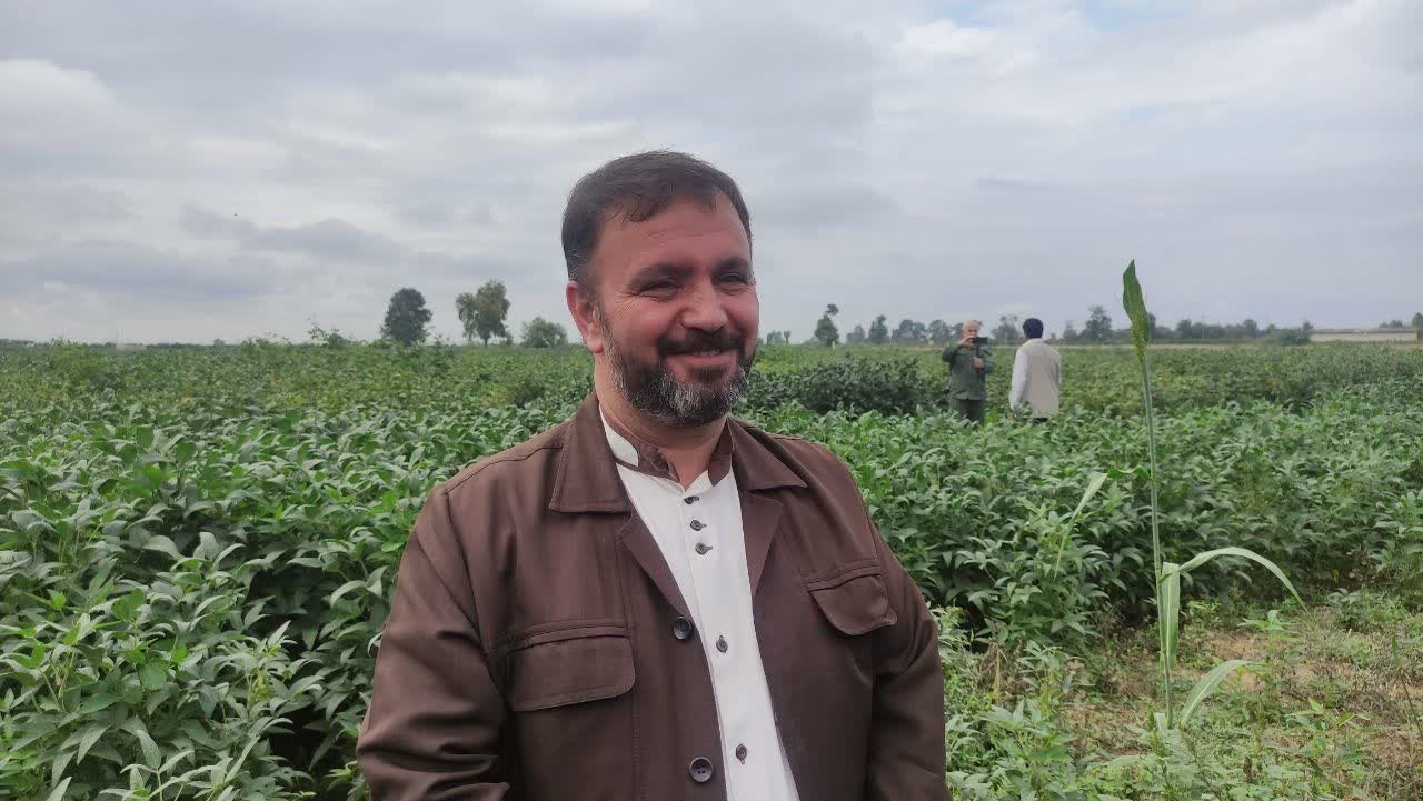 تصویر شاخص